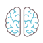 Brain icon 64x64