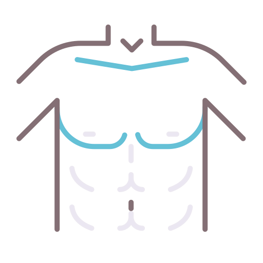 Chest icon