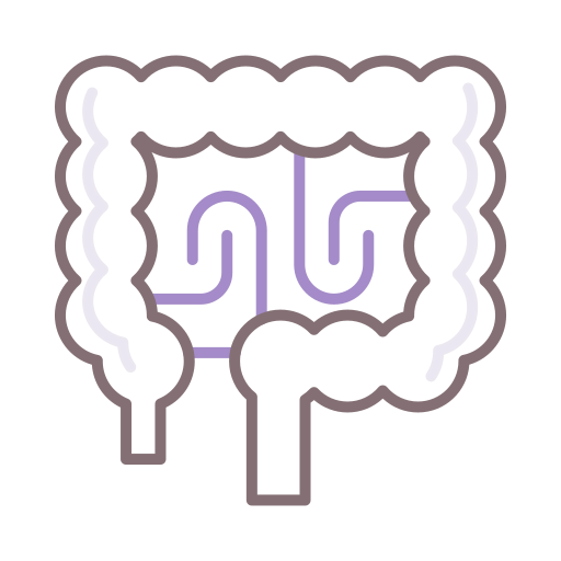 Digestive icon