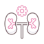 Endocrinology icon 64x64