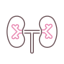 Kidneys Symbol 64x64