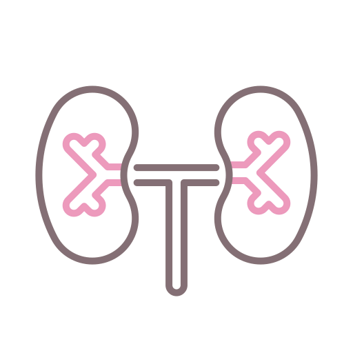 Kidneys icon