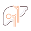 Liver Symbol 64x64