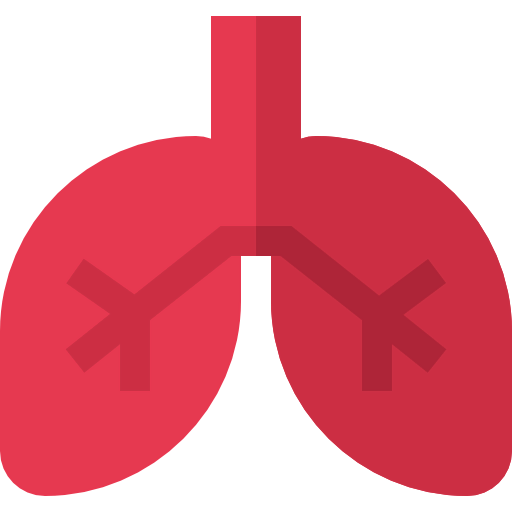 Lungs icon