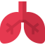 Lungs icon 64x64
