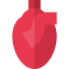 Heart icon 64x64