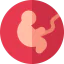 Pregnant icon 64x64