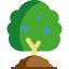 Blueberry icon 64x64