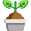 Sprout icon 64x64