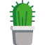 Cactus icon 64x64