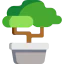 Bonsai icon 64x64
