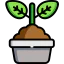 Sprout icon 64x64