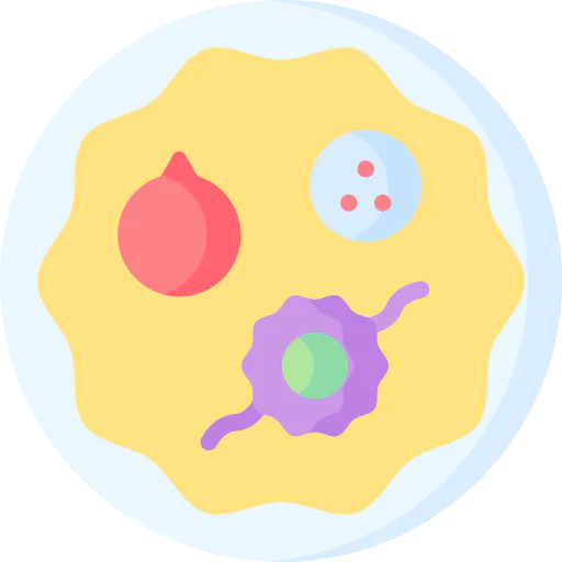 Pooja icon