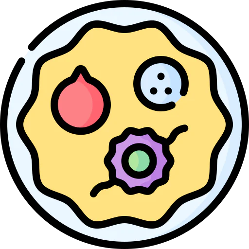 Pooja icon