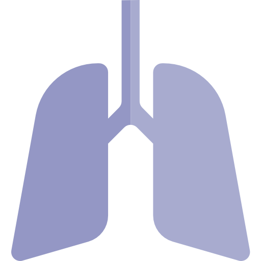 Lung icon