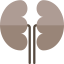 Kidney Symbol 64x64