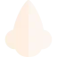 Nose Ikona 64x64