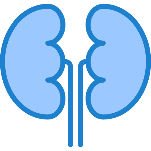 Kidneys icon