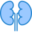 Kidneys Symbol 64x64