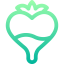 Strawberry icon 64x64