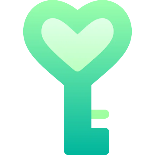 Key icon