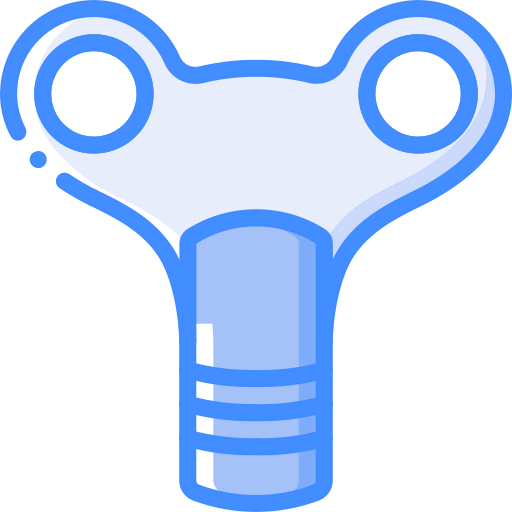 Key icon