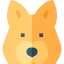 Canaan icon 64x64