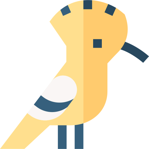 Hoopoe icon