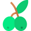 Olive icon 64x64