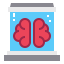 Brain icon 64x64