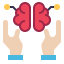 Brain icon 64x64