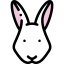 Rabbit icon 64x64