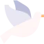 Dove icon 64x64