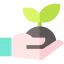 Sprout icon 64x64
