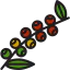 Coffee beans ícono 64x64