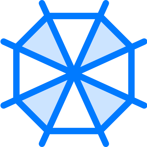 Spider web icon