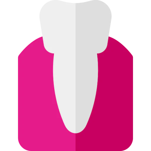 Premolar icon