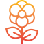 Flower icon 64x64