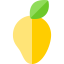 Mango icon 64x64
