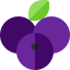 Blueberry icon 64x64