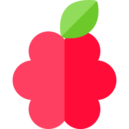 Raspberry icon