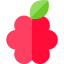 Raspberry 상 64x64