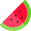 Watermelon icon 64x64