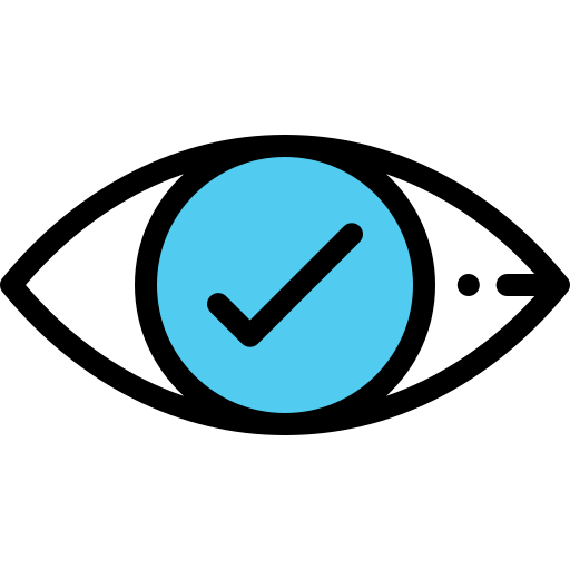 Vision icon
