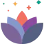 Lotus icon 64x64