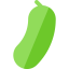 Cucumber icon 64x64