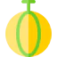 Melon icon 64x64