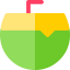 Coconut icon 64x64
