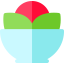 Salad icon 64x64