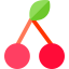 Cherry icon 64x64